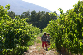 Stanford Photograph Courtesy of & � Oak Grove Farm