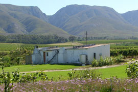 Stanford Photograph Courtesy of & � Bezuidenhout House