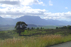 Suurbraak