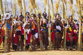 Swazi Dancers