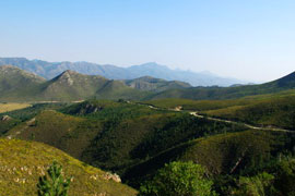 Uniondale Poort