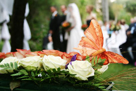 Bloemfontein Bridal Show