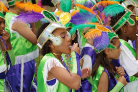 Swellendam Canola Karnaval