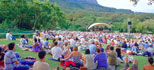 Western Cape Events