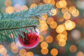 SPCA Carols by Candelight