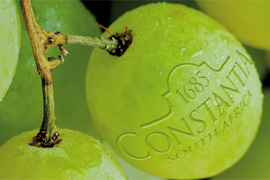 Crush On Constantia