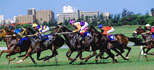Durban Events