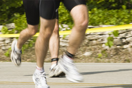 Fynbos Half Marathon