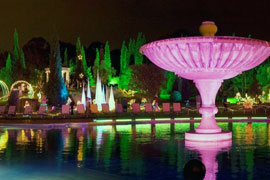 Garden of Lights