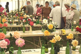 Grahamstown Flower Festival