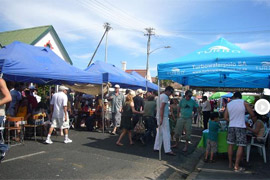 Harfield Village Carnival