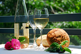 Stanford Earth Hour Picnic