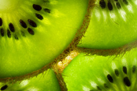 Kiwifruit Festival