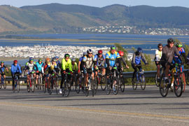 Knysna Cycle Tour