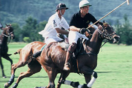 Kurland International Polo Test