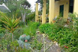 McGregor Open Gardens
