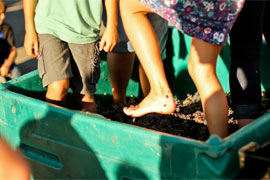 Nederburg Harvest Day