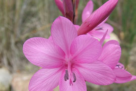 Overberg Eco-Expo