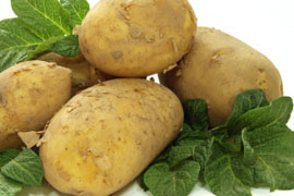 National Potato Festival