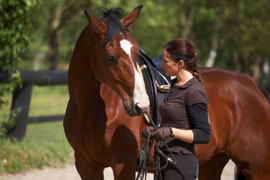Prince Albert Agricultural Show