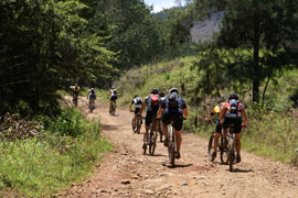 Sabie Experience