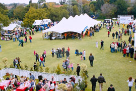 Deutsche Internationale Schule Johannesburg Schulbasar