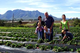 Strawberry Festival