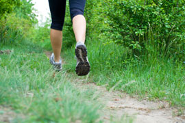 Grootvadersbosch Trail Run