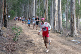 Eendracht Hotel Vista Trail Run