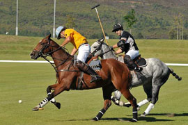 Veuve Clicquot Masters
