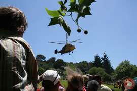 VWS Open Day