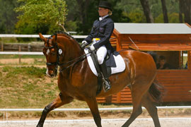 South African Dressage Championships