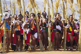 Annual Zulu Reed Dance - uMkhosi woMhlanga
