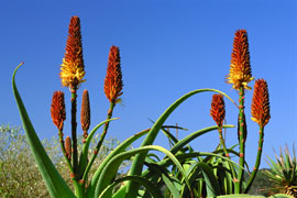 Gamkapoort Nature Reserve