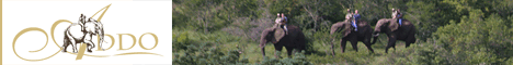 Follow in the footsteps of the ancients ... Addo Elephant Back Safaris & Lodge