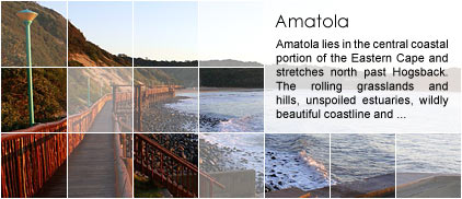 Amatola