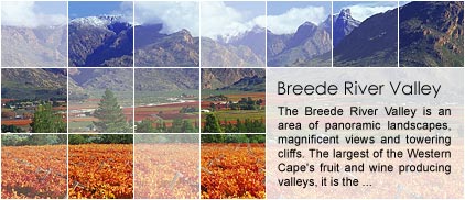 Breede River Valley