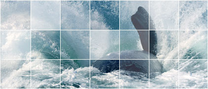 Cape Overberg Accommodation by Map