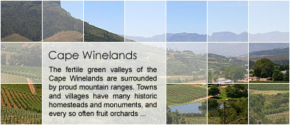 Cape Winelands