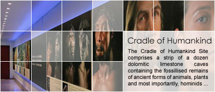 Cradle of Humankind