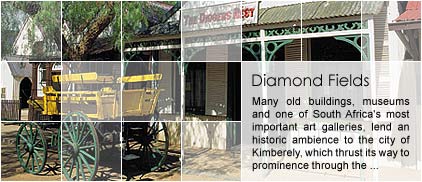 Diamond Fields