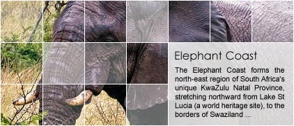 Elephant Coast