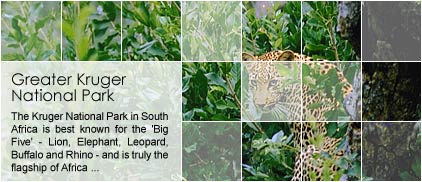 Greater Kruger National Park