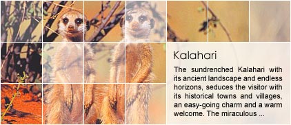 Kalahari