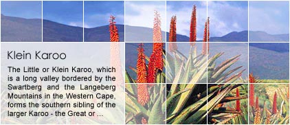 Karoo