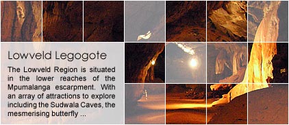 Lowveld Legogote