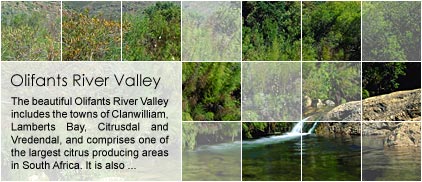 Olifants River Valley