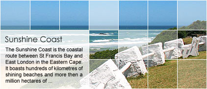 Sunshine Coast