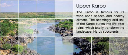 Upper Karoo