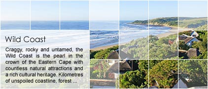 Wild Coast